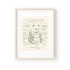 Póster Ilustración Pandapleto