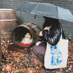 Totebag Ilustrada Vieja Sapa